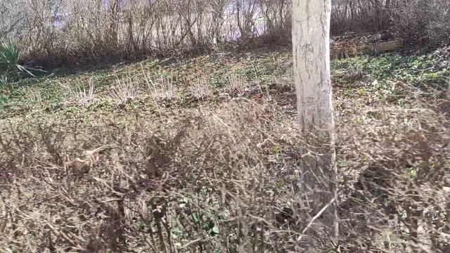 Один из дней города Евпатории | 21 февраля 2022 год | Крым ХАН БАТОН XAH 6ATOH | VID_20220221_143054