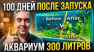 100 Дней После Запуска Аквариума