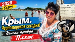 20.06.26 Черноморское. Как Каспер⁉️ Едем на море! Булки-Баранки. Обстановка сегодня