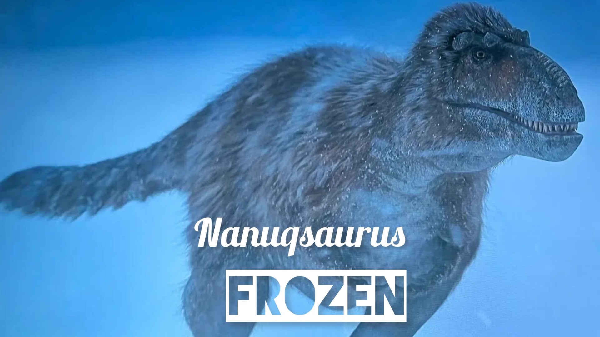 Nanuqsaurus Tribute - Frozen