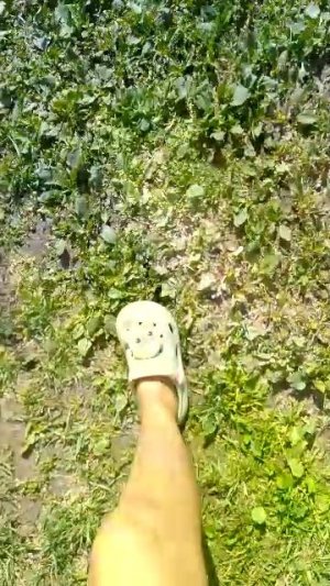мы видём примую трансляцию 😄
