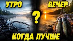 Утром или вечером когда рыба клюёт лучше,Вечный спор закрыт