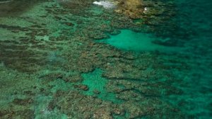 Truo Aux Biches Mauritius