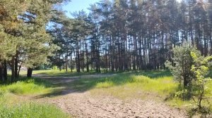 Врач и ученый Пирогов Н.И. Немного истории
