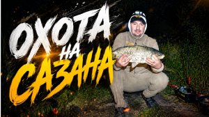 ЛОВЛЯ САЗАНА НА МАЛОЙ РЕКЕ. НОЧНОЙ ВЫХОД САЗАНА. КАК ПОКОРМИШЬ-ТАК И ПОЛОВИШЬ!