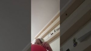 асмр