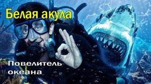 🦈 Взгляд бездны: Повелитель океана 🌊