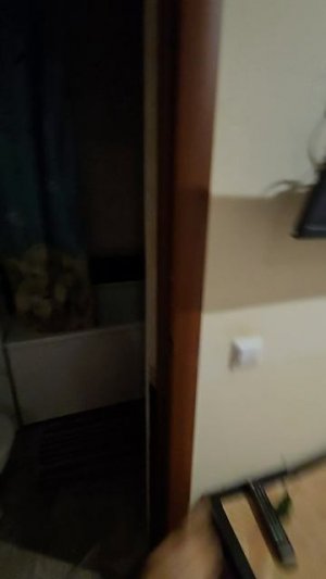 Сочи Аренда квартиры 89183092018
