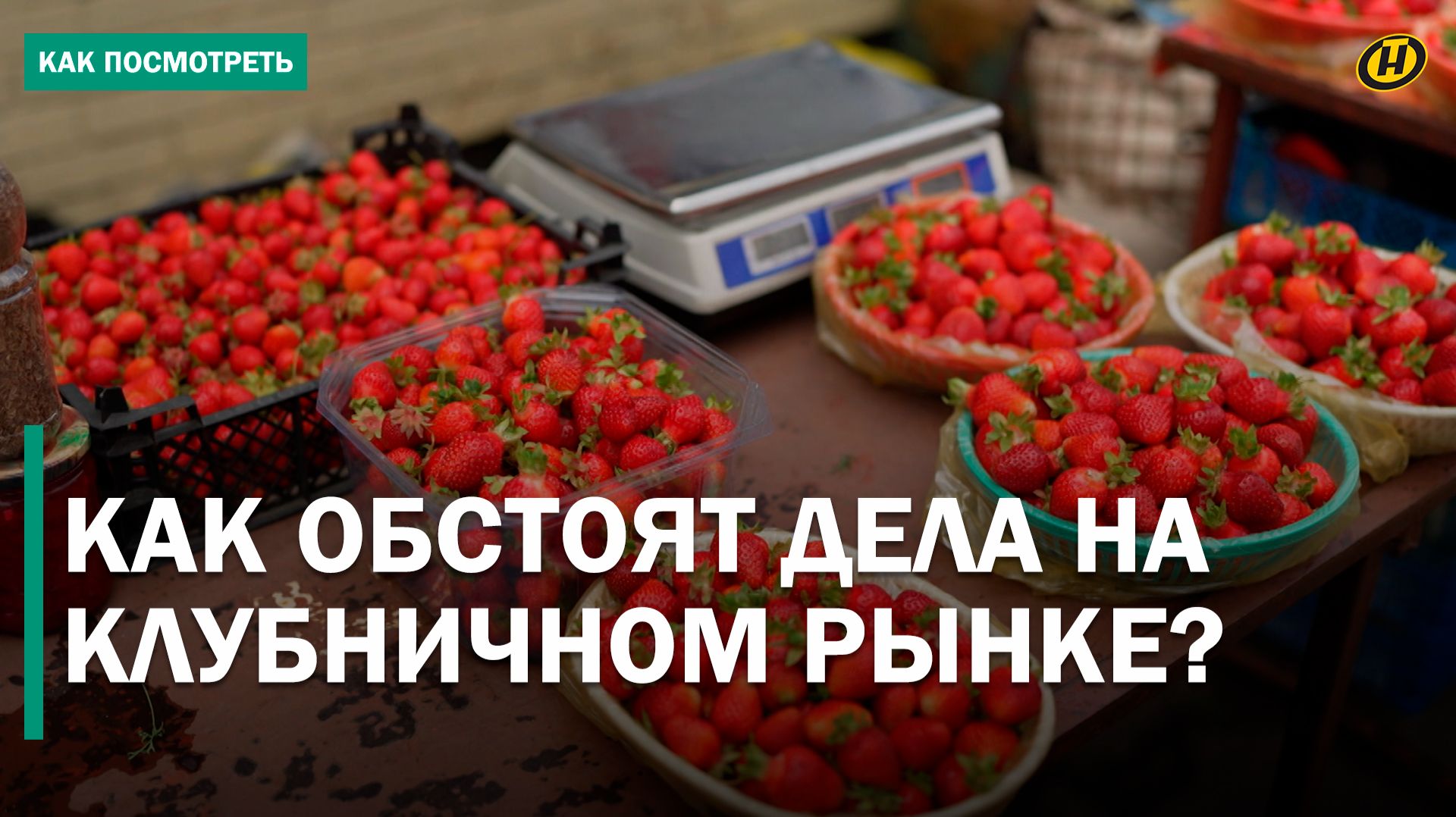 КТО ЗАРАБАТЫВАЕТ НА КЛУБНИКЕ? Фермеры продают за гроши, а перекупщики продают втридорога