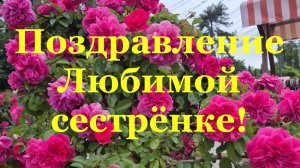С Днём медика от сестры Поздравление Любимой сестрёнке!