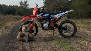 Осенний мотокросс на Racer 250 K2 #racer #мотоцикл #кроссовый #dirtbike #k2 #250 #2023 #panther #172