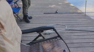 Поимка карпа возле переходного моста