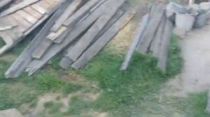 Влог Показываем наш огородик 19 Июня 2026 Алтайский край