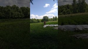 КРАСОТА –СТРАШНАЯ СИЛА!ФИТНЕС По-ДЕРЕВЕНСКИ!👍🤣