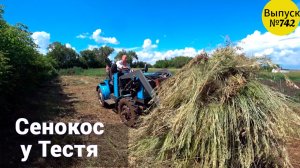 Сельские будни: день, когда мы помогали тестю сено убрать. Омская деревня.