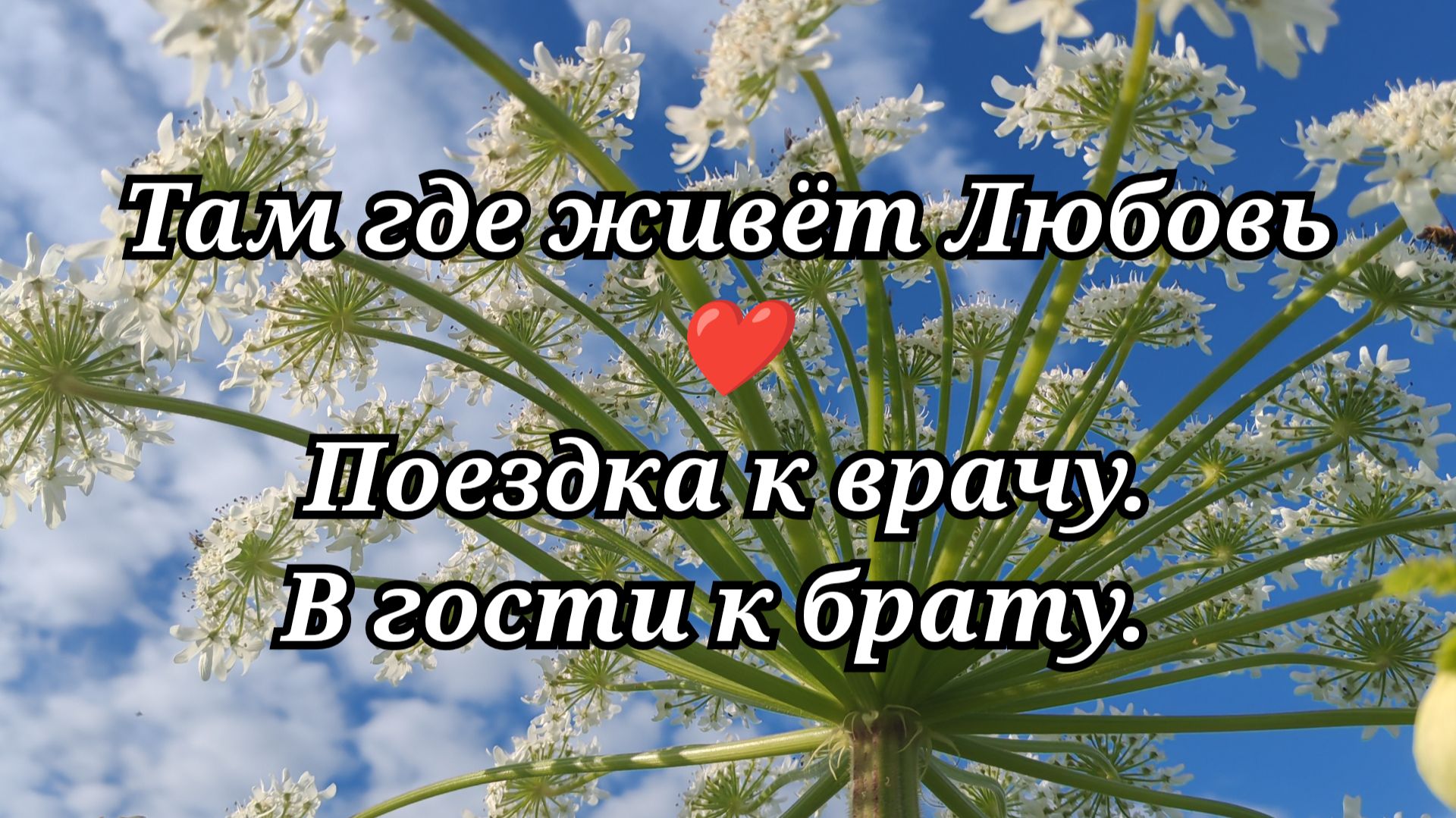 #145 Поездка к врачу. В гости к брату.