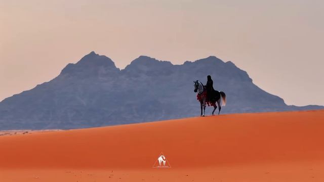 Cafe De Anatolia - The Silk Road ｜ Best of Desert Music, Organic House & Ethnic Deep ｜ DJ Mix (2026) смотреть онлайн