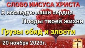 «Я исследую ваши сердца», Грузы обид и злости», «Плоды жизни» — слово Иисуса Христа 20.11.23