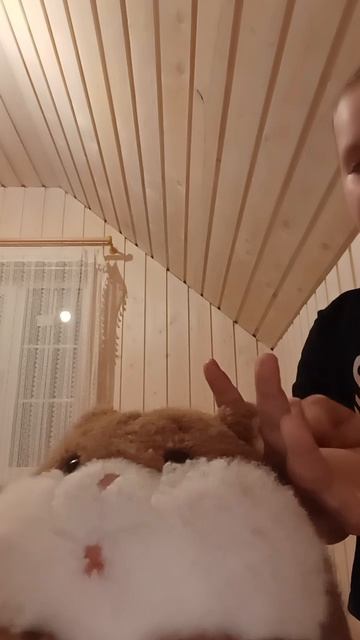 жизнь блогеров смотреть онлайн