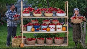 Блинчики Со Свежей Клубникой 🍓🌿