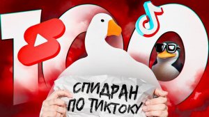 100 фактов про i11ushenka (СПИДРАН ПО ТИКТОКУ)