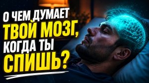 О чем думает твой мозг, когда ты спишь?