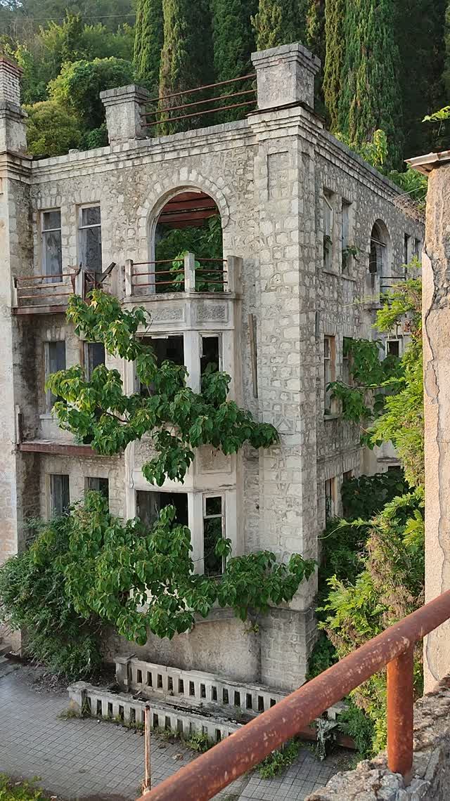 Цикады поют