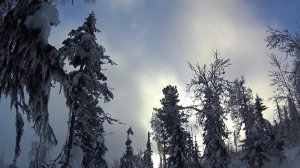 Две недели на промысле в тайге. Глухозимье 2023. Часть 1