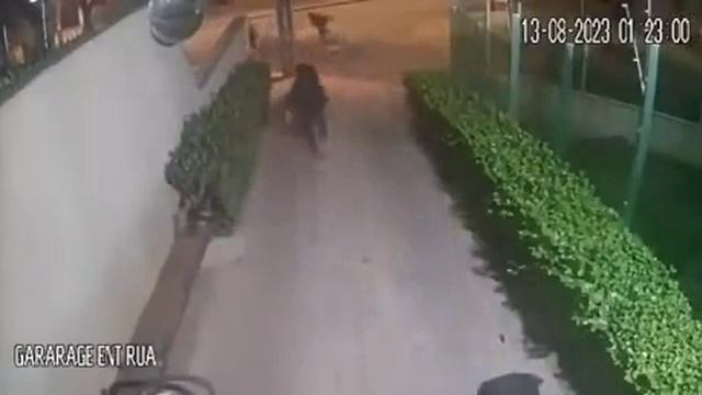 Поимка похитителей велосипедов. Японский метод.