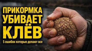 Почему рыба не клюёт вы сами топите рыбалку своей прикормкой
