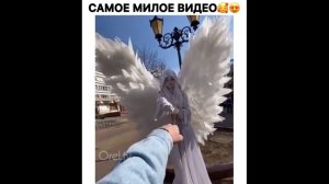 #смешныевидео -1527