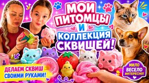 ОБЗОР ДОМАШНИХ ПИТОМЦЕВ ! ПОКАЗЫВАЮ КОЛЛЕКЦИЮ СКВИШЕЙ 🐱🐶 Делаем сквиш своими руками!