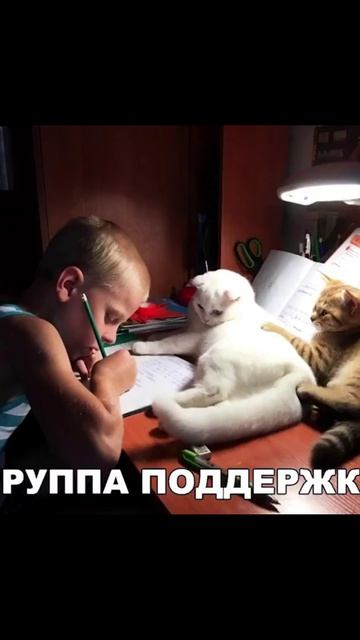 Лютые мемы. Рыцарь борща и компота смотреть онлайн
