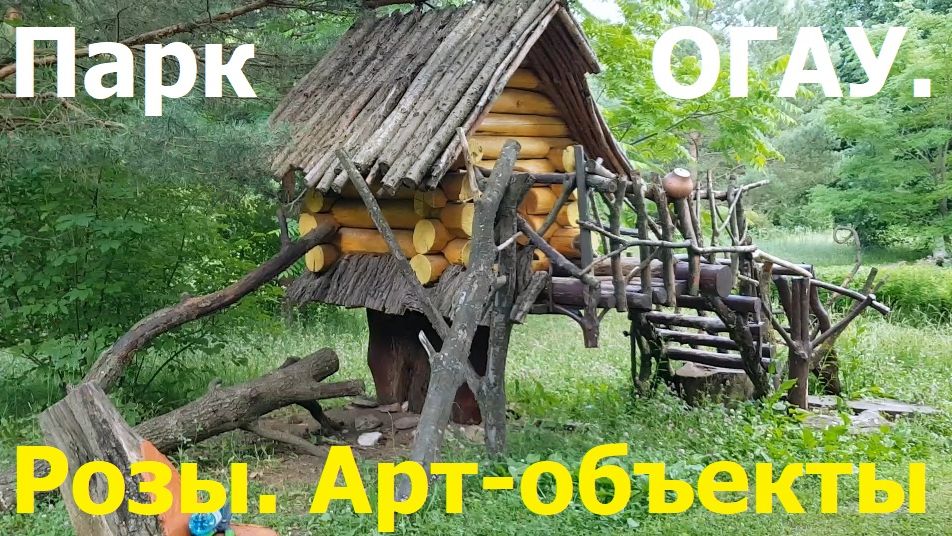 20260620 Фонтан Барбарис Разноцветные розы арт объект деревья памятник Парахину парк ОГАУ город Орёл смотреть онлайн