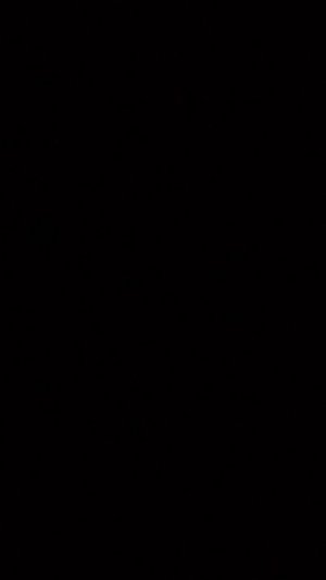 Г