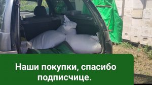 Простая жизнь пенсионеров. Кабачками объедаемся👍Много роз не бывает.