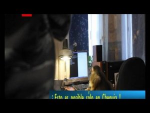Восстание планеты обезьян. Начало.