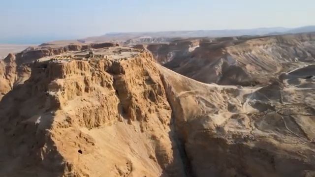 Под видом ИИ роботам подселят Сущность . смотреть онлайн