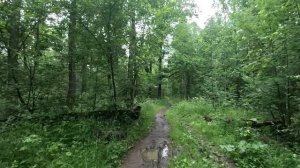 ищу выход из леса серия 58