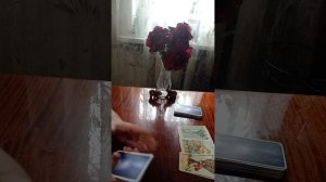 Таро.Что вы увидите в ближайшее время.