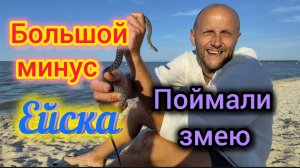 Огромный минус ЕЙСКА/Поймали ЗМЕЮ/Хотим купить ТРИММЕР/Красивый ЗАКАТ/Собираем тумбу под мойку.