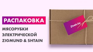 Распаковка — Мясорубка электрическая Zigmund & Shtain ZMG-050