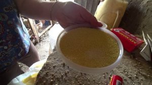 Как бороться с мухами в хозяйственных помещениях