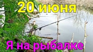 Утро на рыбалке