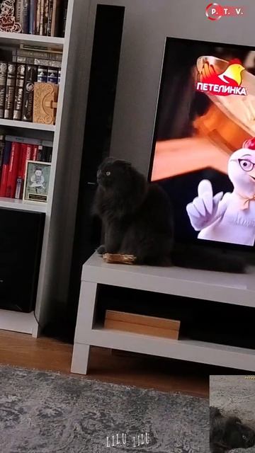 Престидижитация