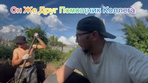 Он Же Друг Помощник Коллега 🤝