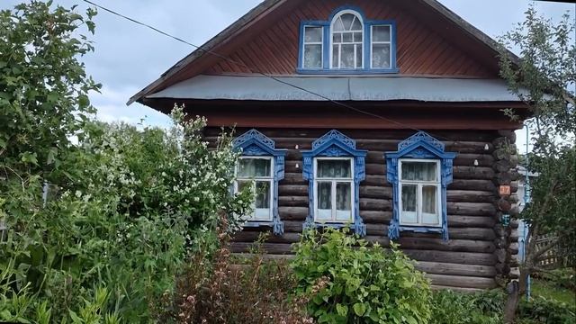 Пошехонский виноград