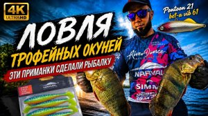 ТРОФЕЙНАЯ РЫБАЛКА В ИЮНЕ 🤙🏻🎣 ПОПАЛИ НА РАЗДАЧУ ОКУНЕЙ И ЩУК.