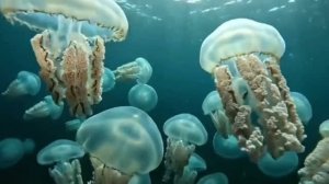 7  Тайн Черного моря, которые от нас скрывали