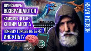 Сексизм в Huawei. Борода - источник болезней. Аккумулятор будущего. Всем наука / Научnews